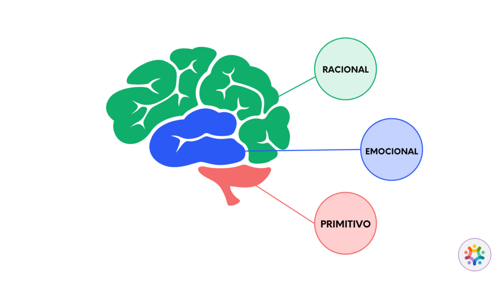 Imagem ilustrativa de um cérebro humano, apontando onde está localizada a parte RACIONAL, EMOCIONAL e PRIMITIVA.