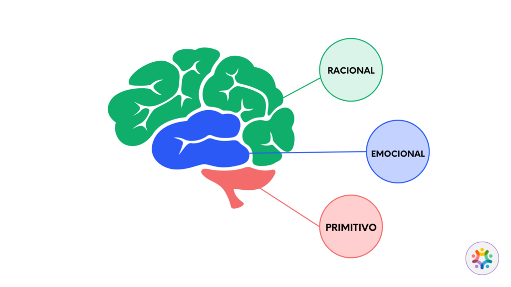 O cérebro da criança ainda não é racional. Não é que ela não obedece, ela não maturidade cerebral para processar o não.
